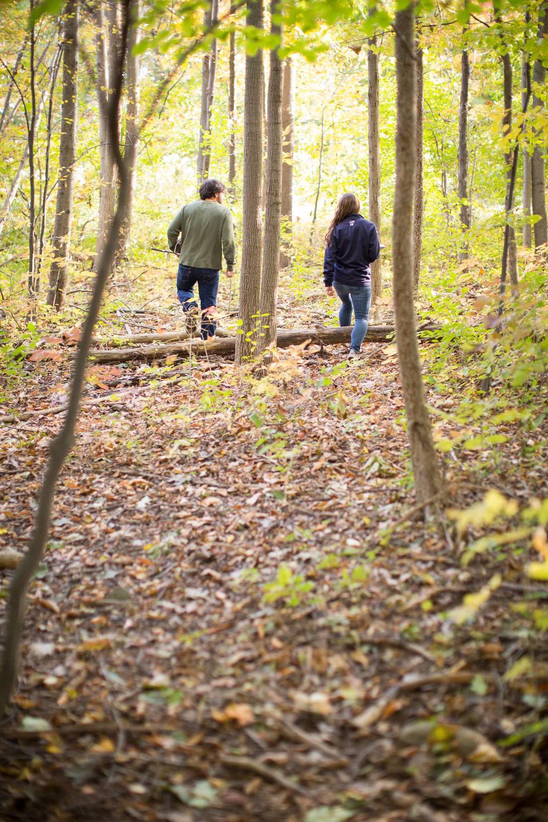 Walking in the woods